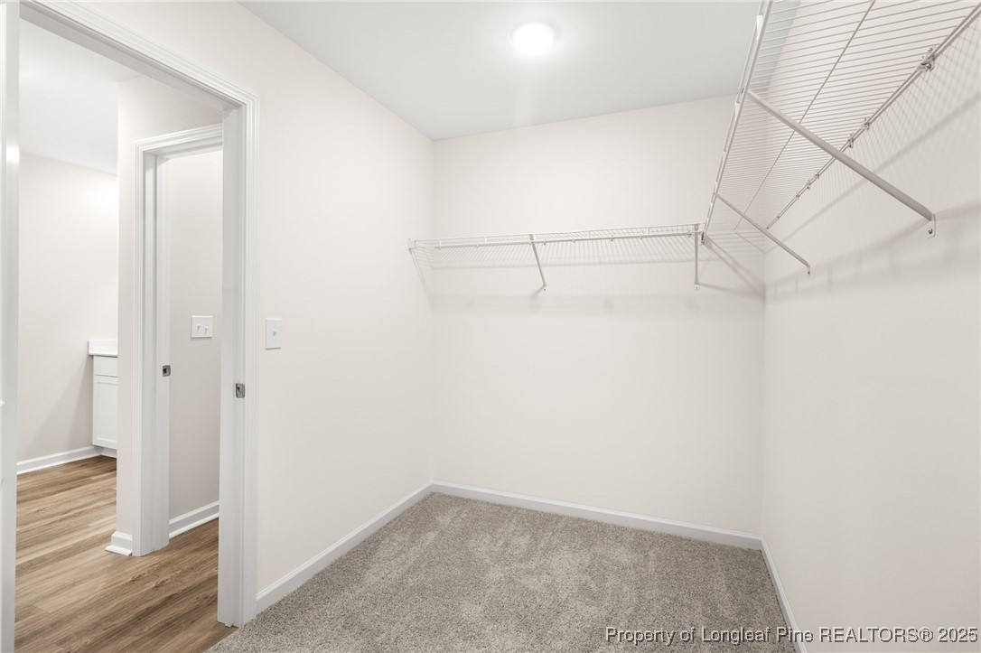 171 Traveller Way Raeford, NC 28376 - Photo 30 of 47