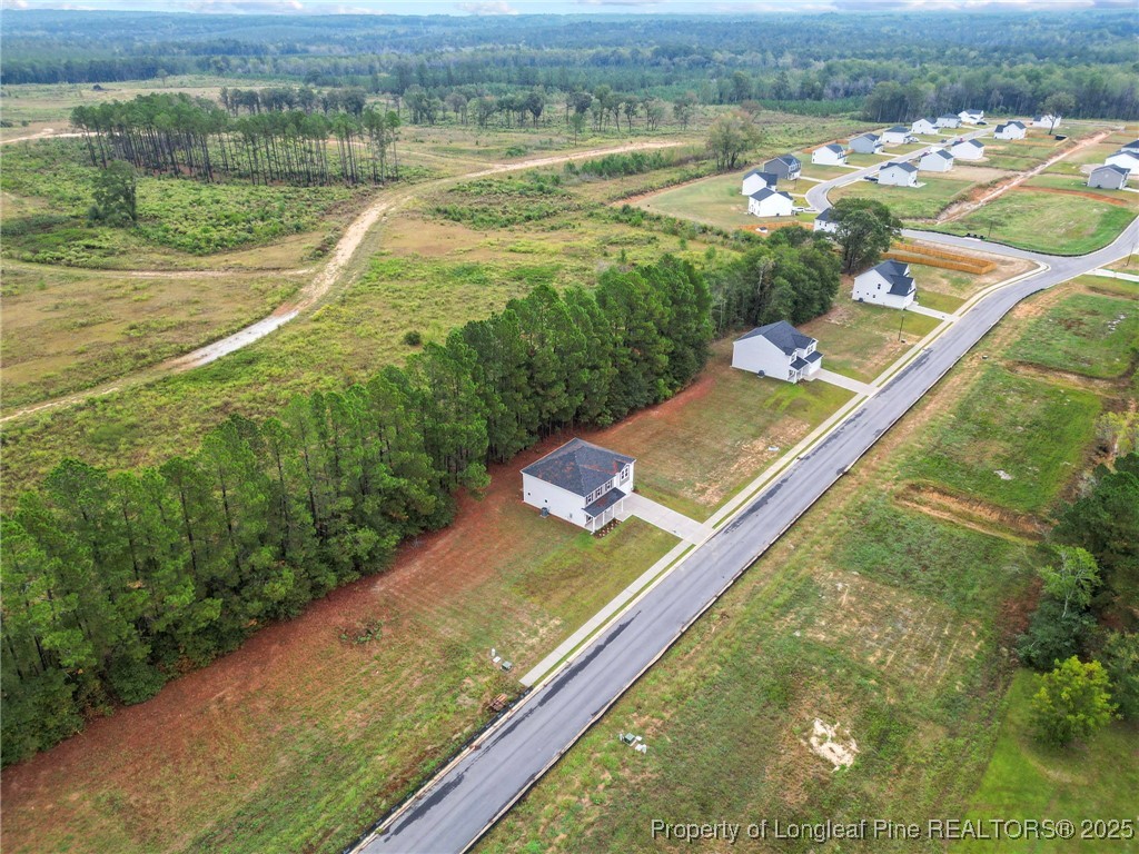 171 Traveller Way Raeford, NC 28376 - Photo 3 of 47