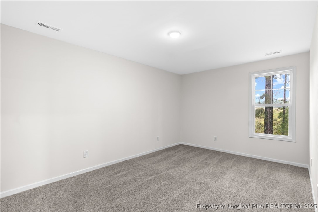 171 Traveller Way Raeford, NC 28376 - Photo 32 of 47