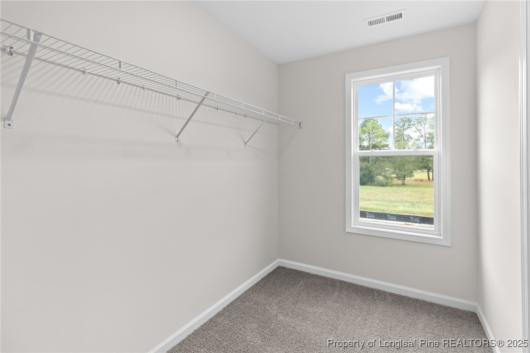 171 Traveller Way Raeford, NC 28376 - Photo 36 of 47