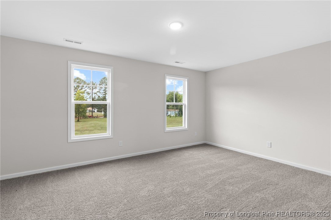 171 Traveller Way Raeford, NC 28376 - Photo 39 of 47