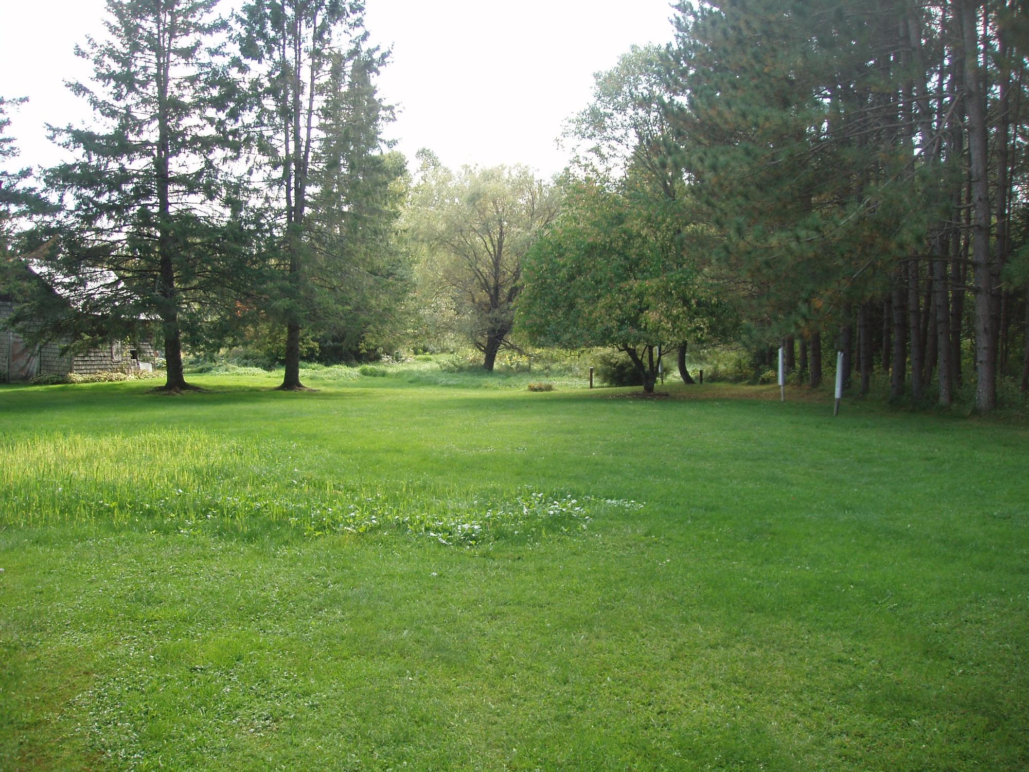 W10485 County Line Road Butternut, WI 54514 - Photo 13 of 90 Gallery Image 13