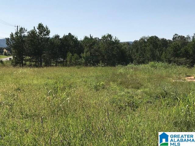 9 Easy Street, Unit 1 Anniston, AL 36207 - Photo 6 of 20