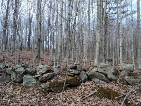 441 Cilley Hill Road Underhill, VT 05489 - Photo 1 of 1 Gallery Image 1