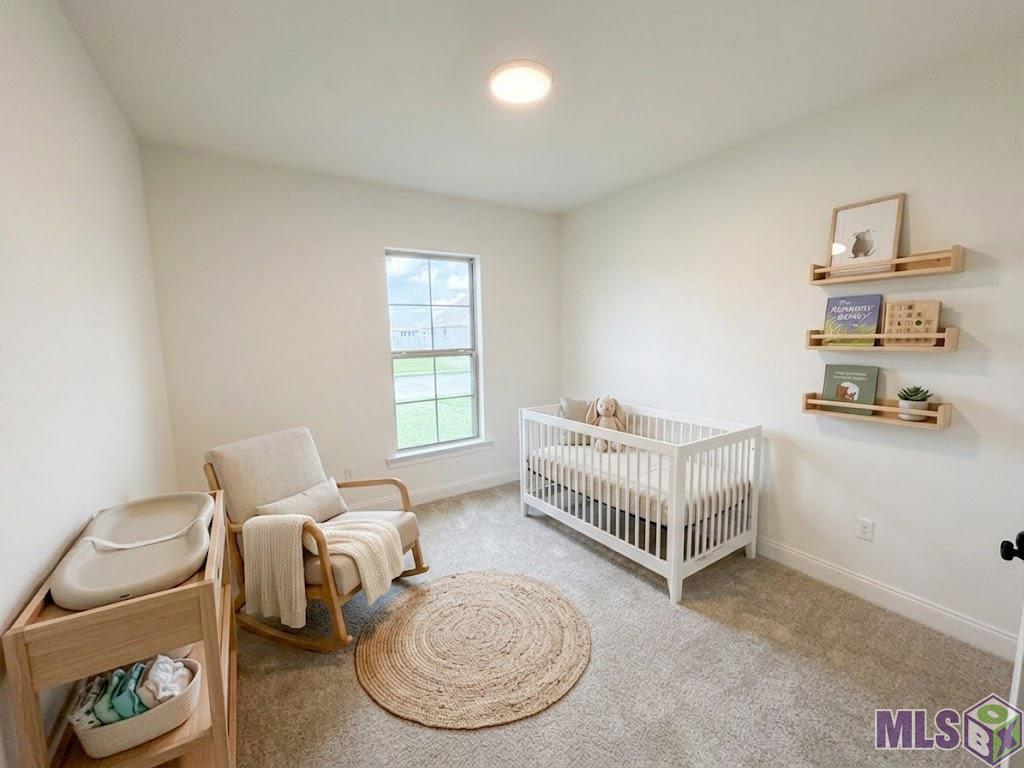 151 Spring Grove Loop Thibodaux, LA 70301 - Photo 22 of 24 STAGED PHOTO