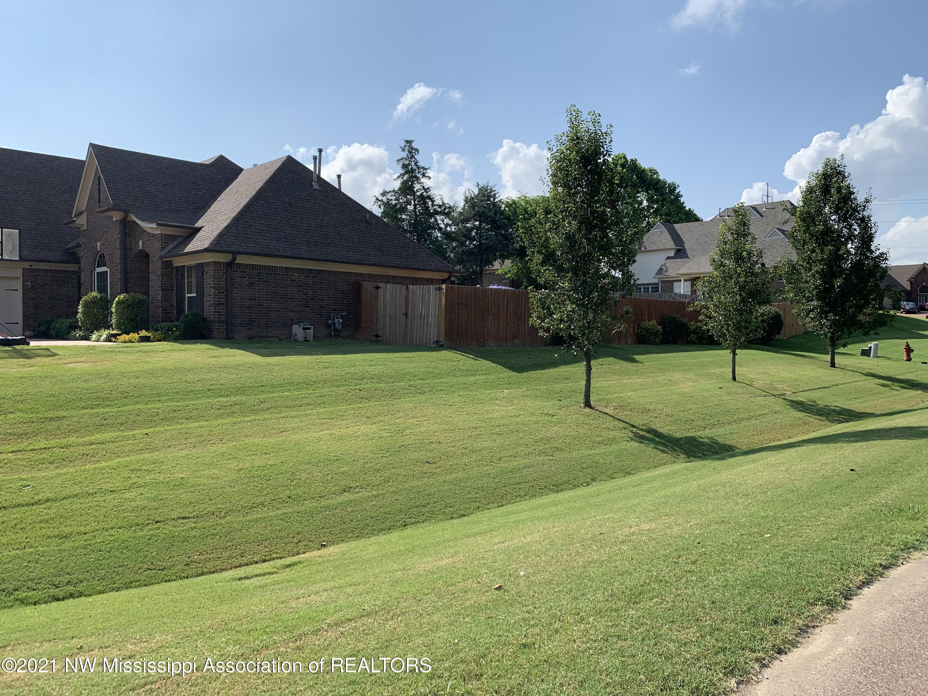 1686 Rutherford Cove Nesbit, MS 38651 - Photo 3 of 37 865A62CE-3D61-43FD-AEE7-6CA9115E48F1