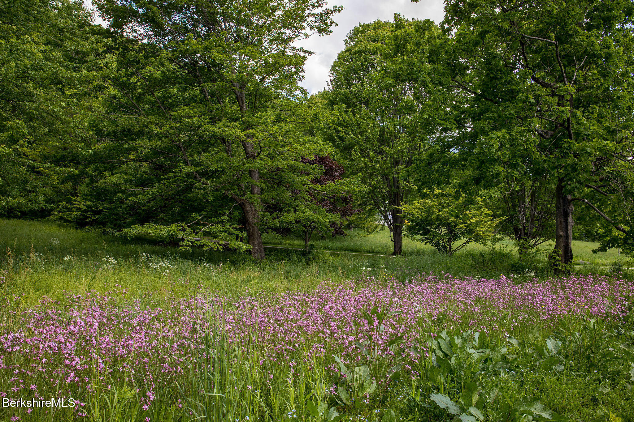 109 Under Mountain Road Lenox, MA 01240 - Photo 5 of 53 0016-exterior