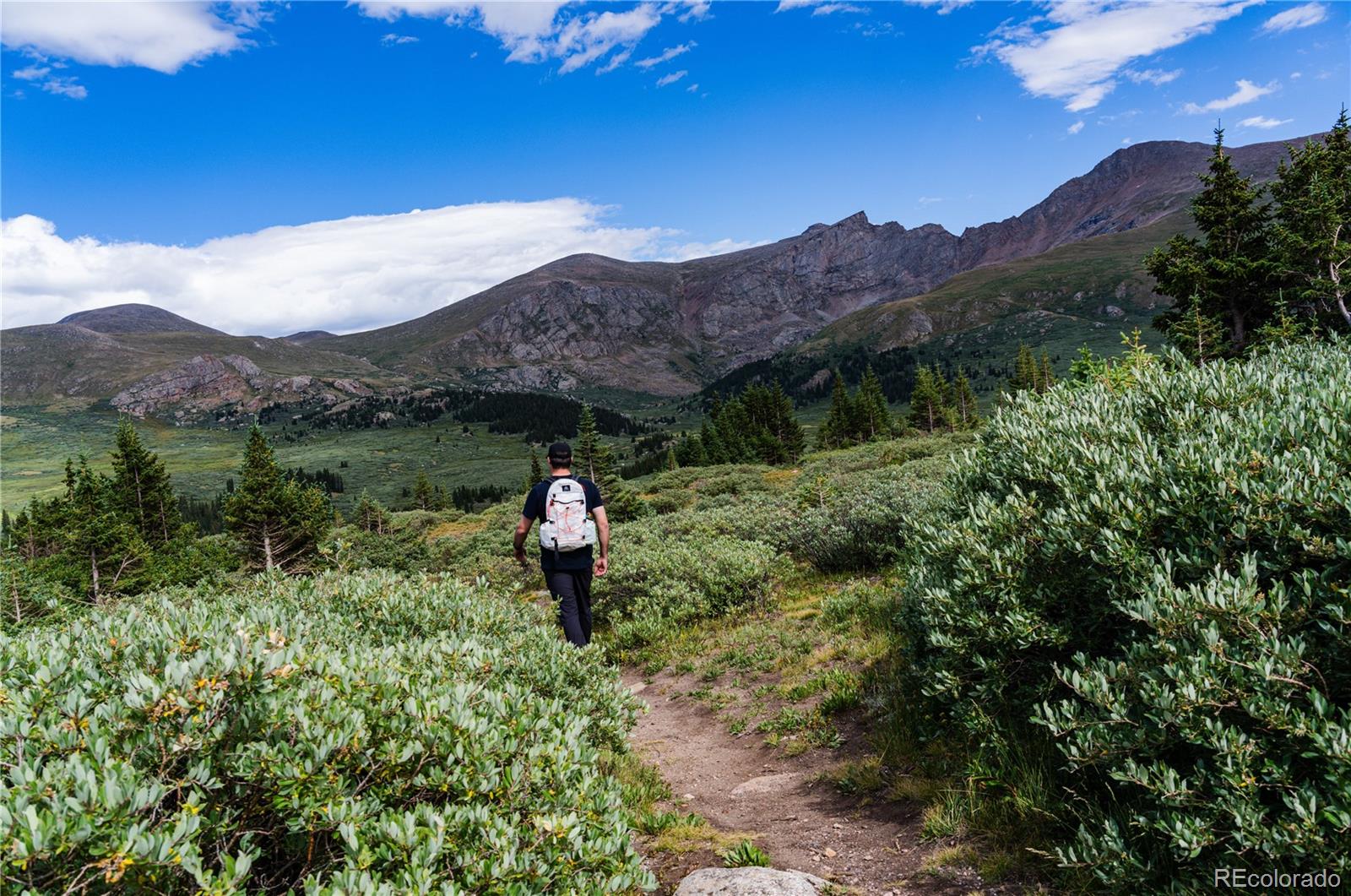2115 Hummingbird Way, Unit 103 Georgetown, CO 80444 - Photo 24 of 33