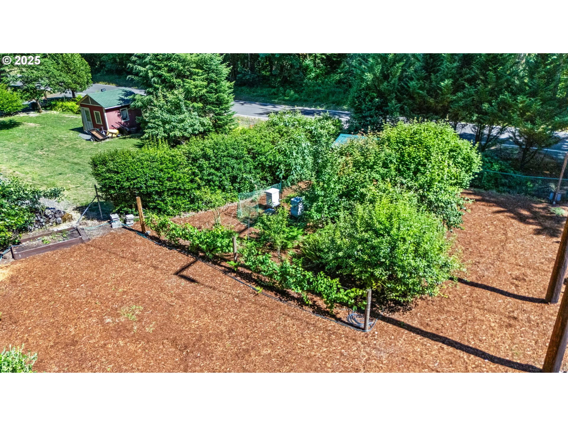 42871 Deerhorn Road Springfield, OR 97478 - Photo 46 of 48 Garden