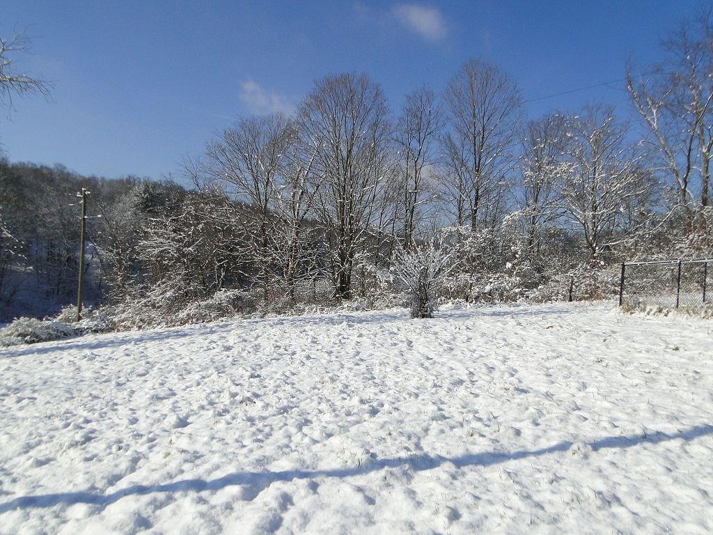 354 Sundust Road Eighty Four, PA 15330 - Photo 22 of 25