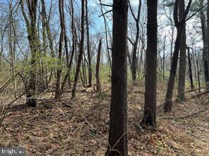 Lot 10 Shanktown Road Big Pool, MD 21711 - Photo 2 of 4 Gallery Image 2