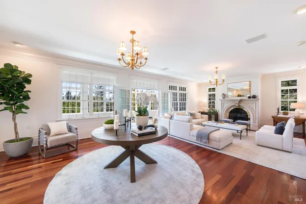 a living room with furniture a fireplace and a potted plant