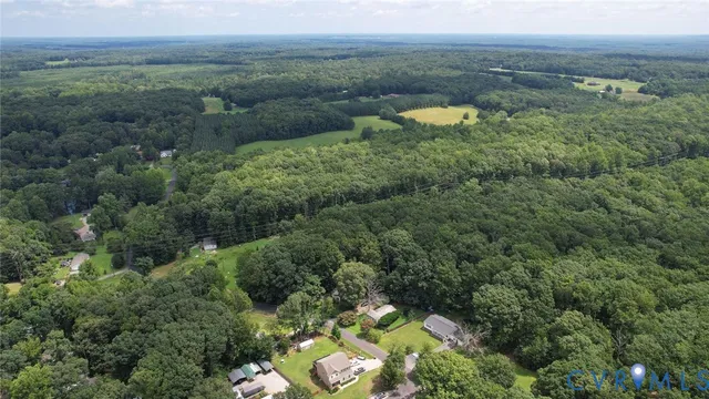 a close up of a flower in a garden