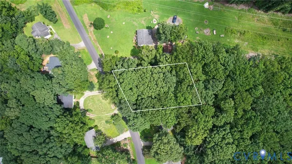 a view of a flower in a garden