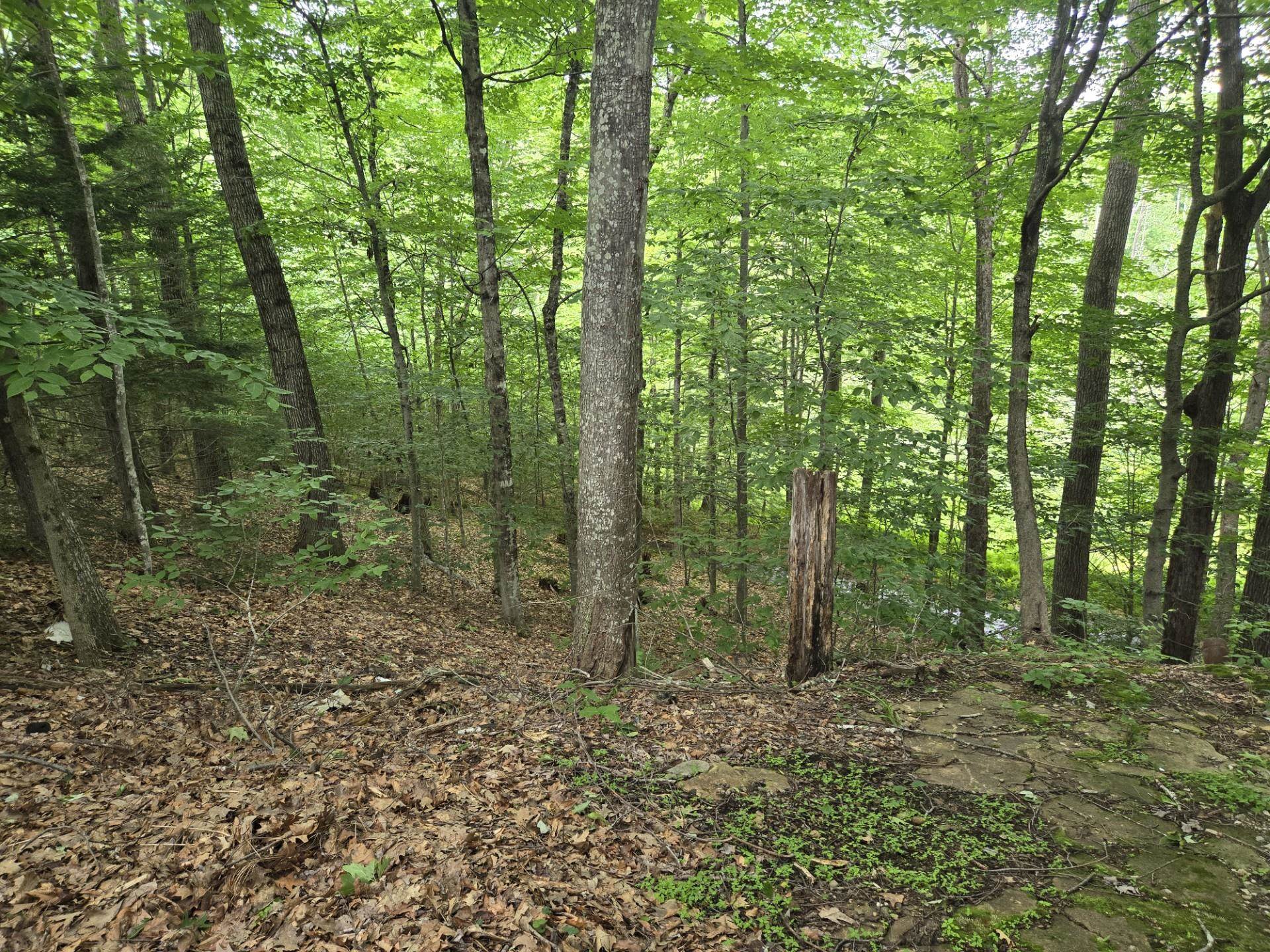 208 Nh Rte 3a Hill, NH 03243 - Photo 35 of 38