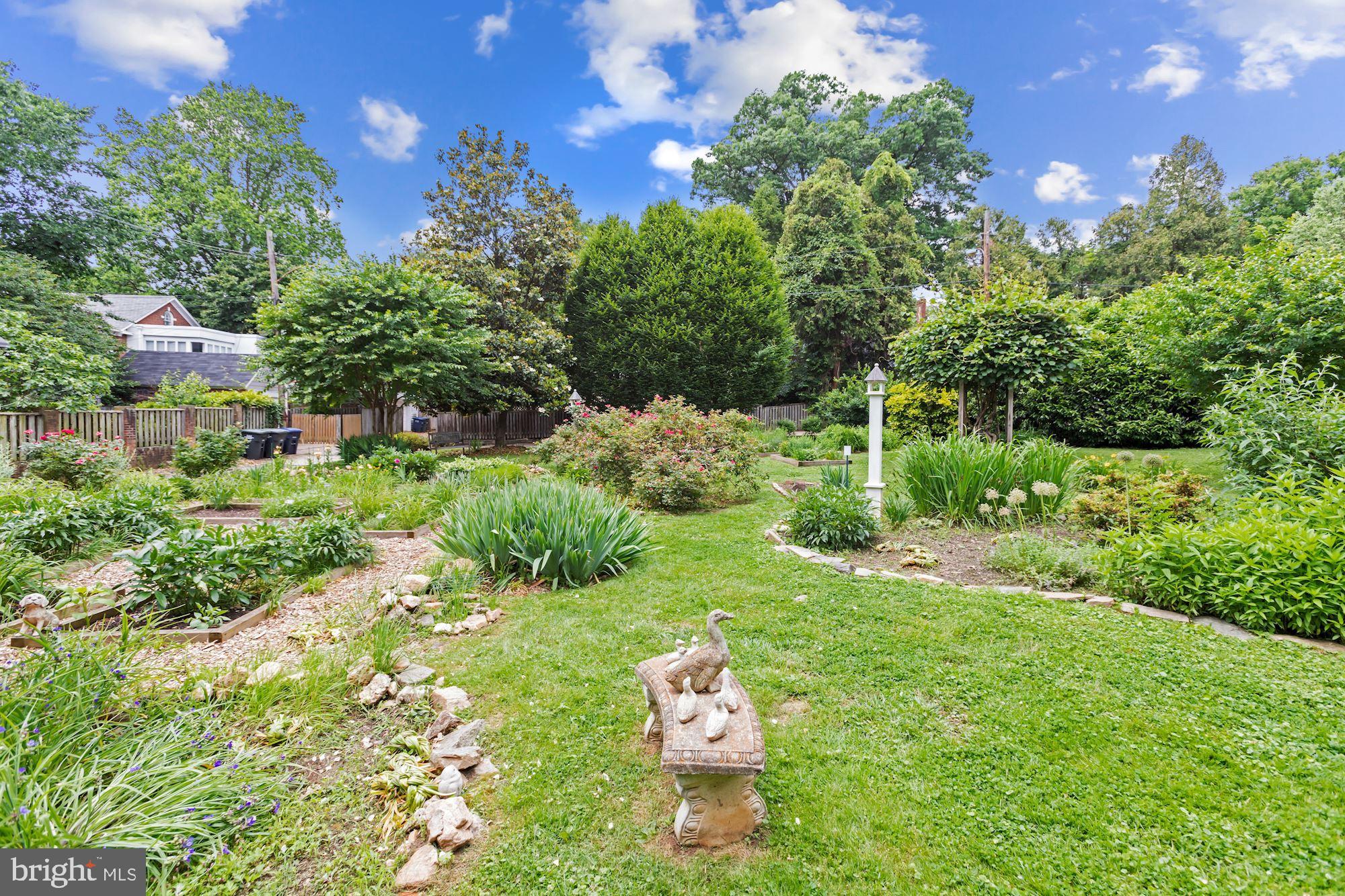 5334 Broad Branch Road Northwest Washington, DC 20015 - Photo 53 of 54 Victory Garden
