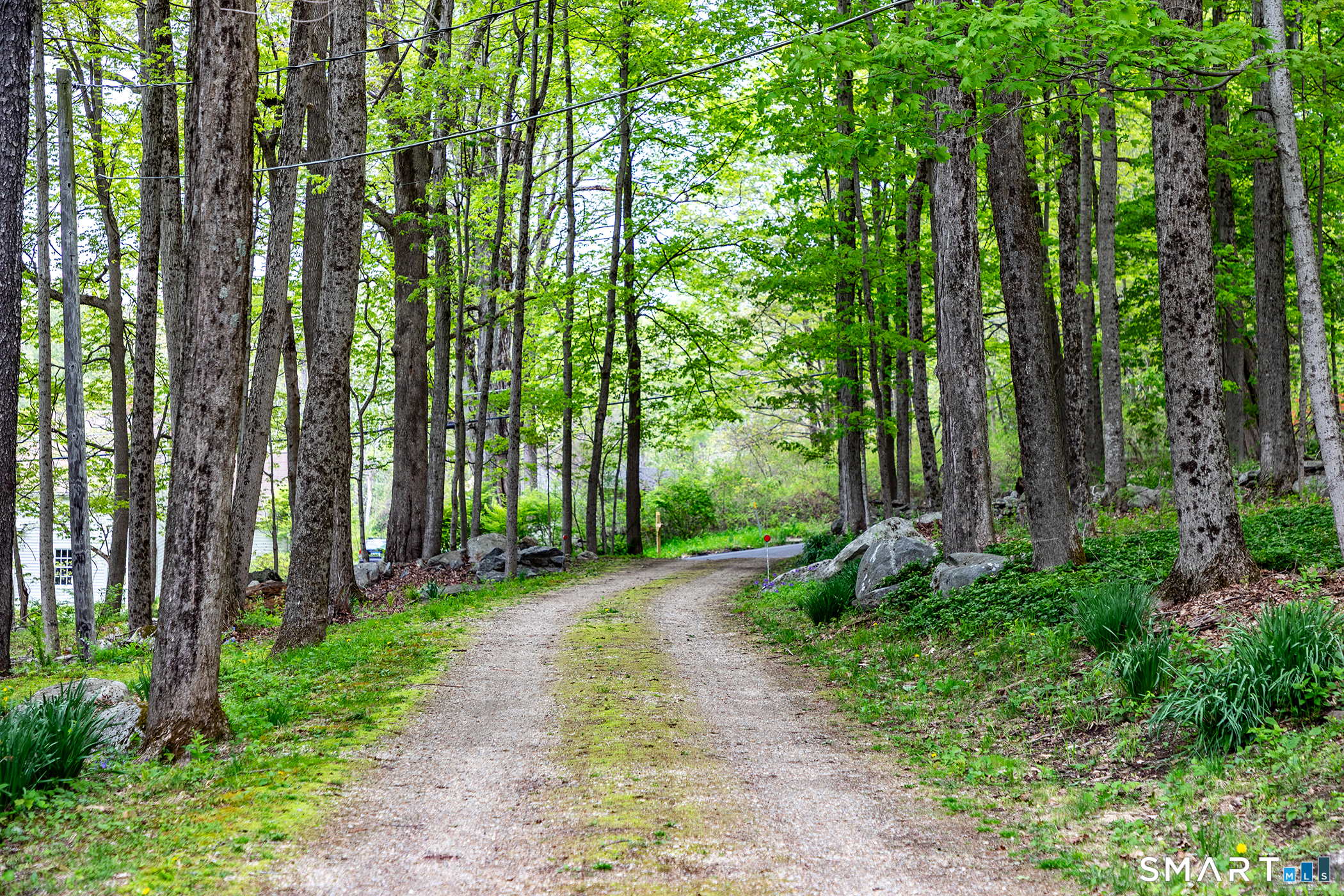 56 Todd Hill Road Cornwall, CT 06796 - Photo 30 of 30 Driveway from the road.