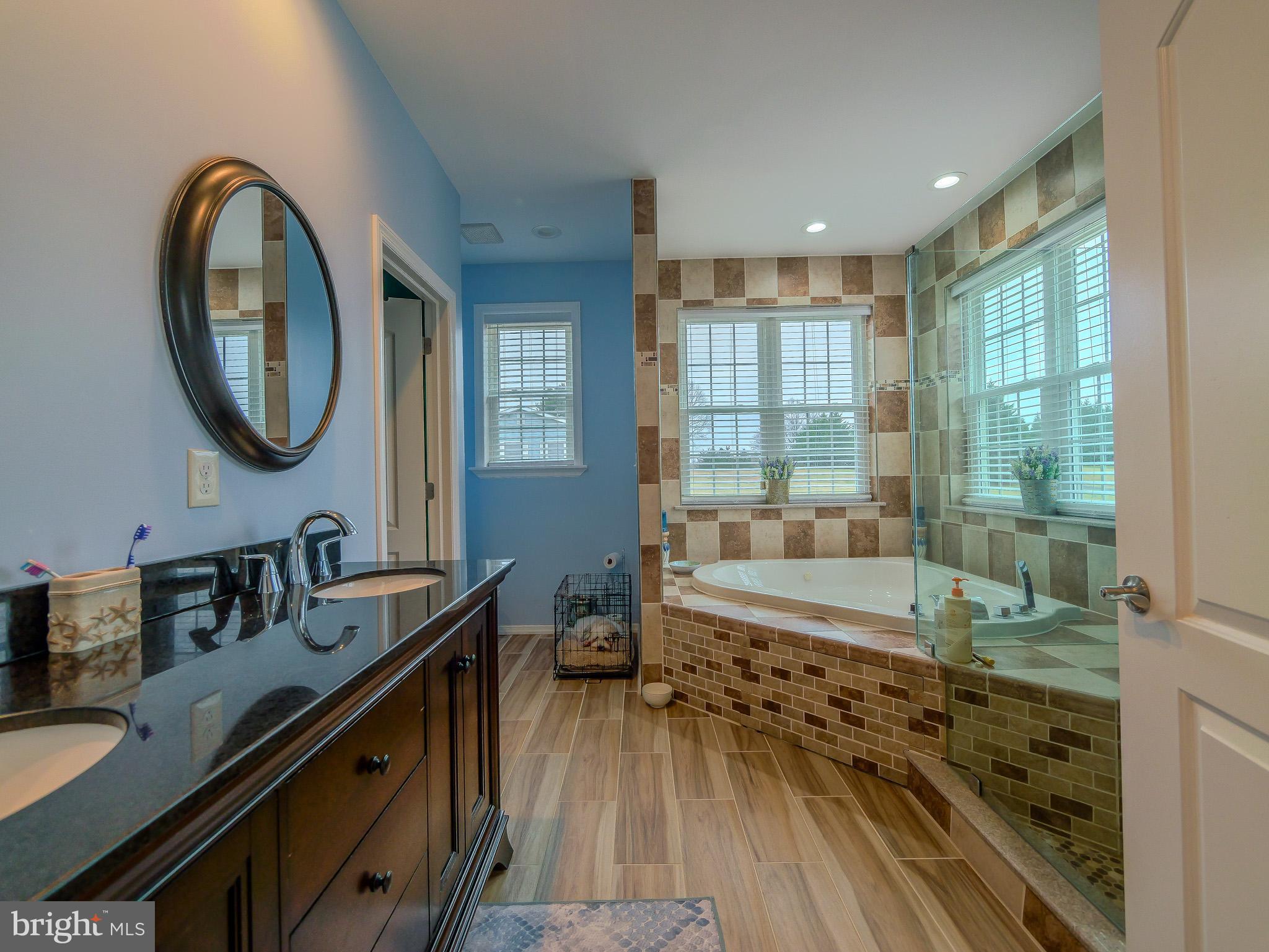 559 Franklinville Road Mullica Hill, NJ 08062 - Photo 19 of 41 a bathroom with a bathtub and a sink