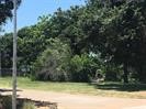 0 Tx-159 13th Hempstead, TX 77445 - Photo 13 of 14 a view of a yard