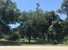 0 Tx-159 13th Hempstead, TX 77445 - Photo 5 of 14 a view of a yard