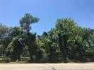 0 Tx-159 13th Hempstead, TX 77445 - Photo 8 of 14 a view of a yard