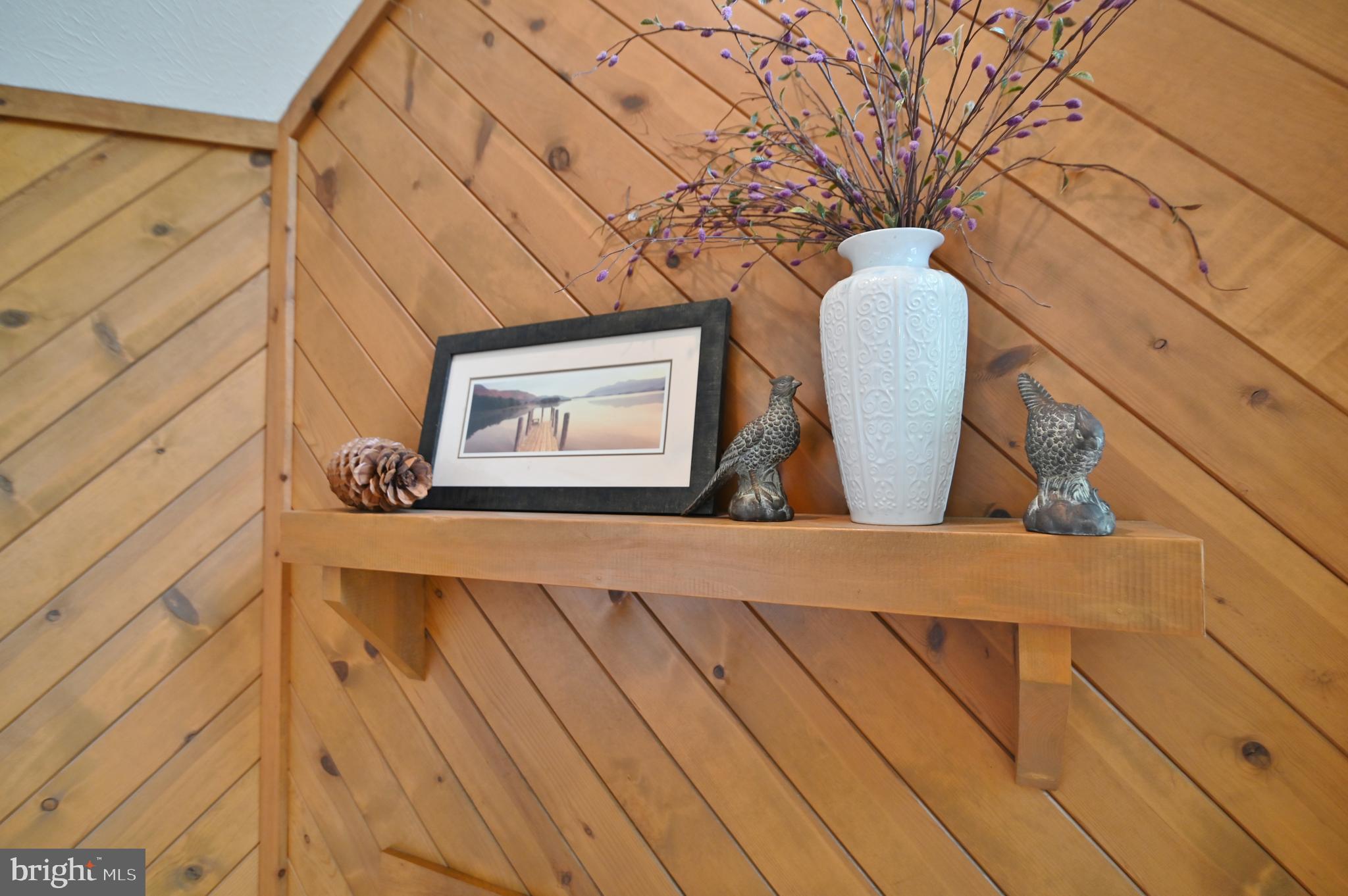 277 Anderson Road Basye, VA 22842 - Photo 17 of 57 Mantel