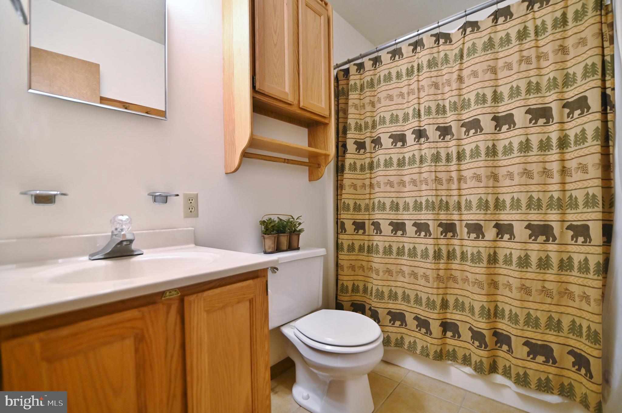 277 Anderson Road Basye, VA 22842 - Photo 21 of 57 Main Level bath