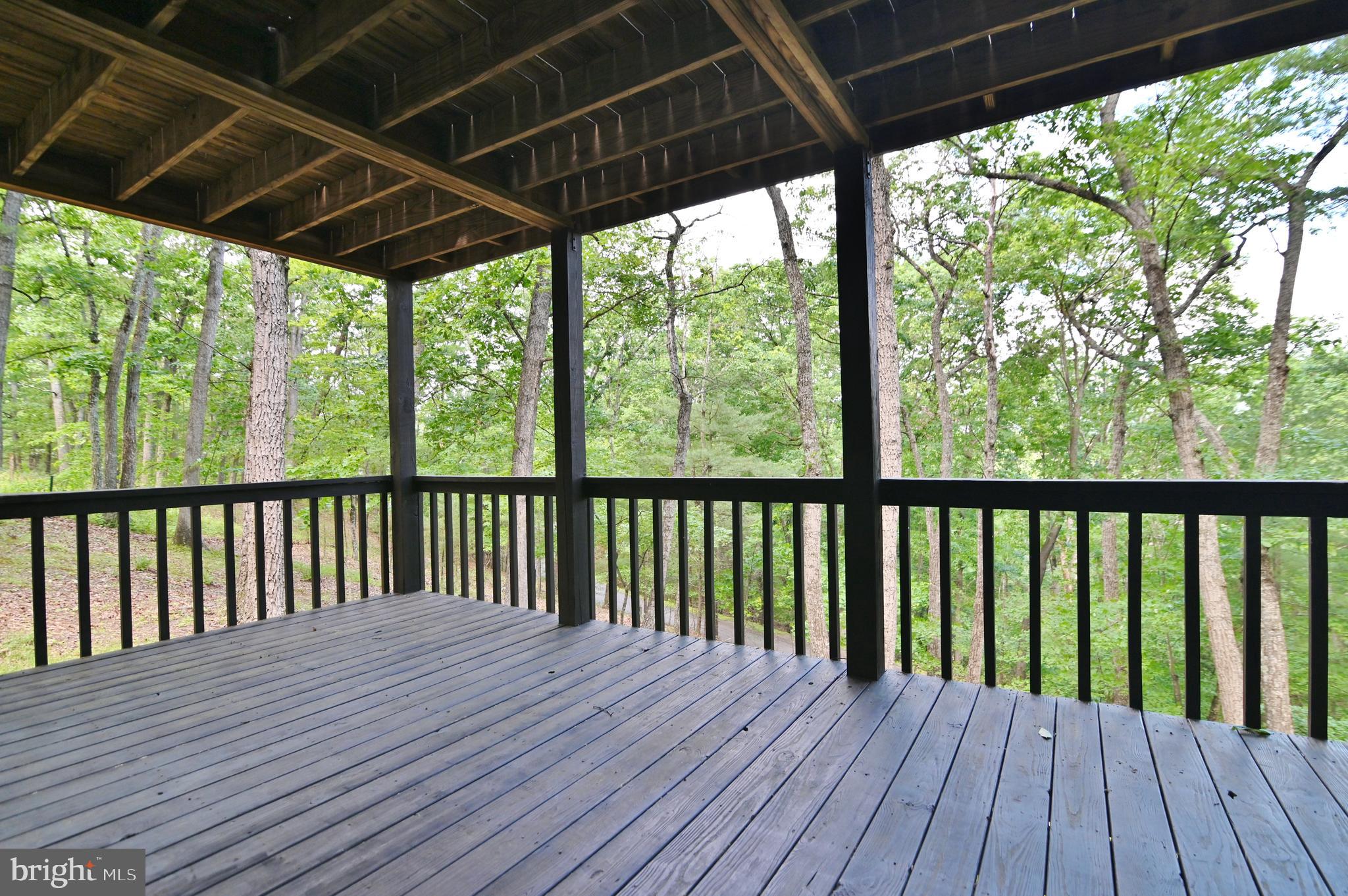 277 Anderson Road Basye, VA 22842 - Photo 38 of 57 Lower Level - Deck
