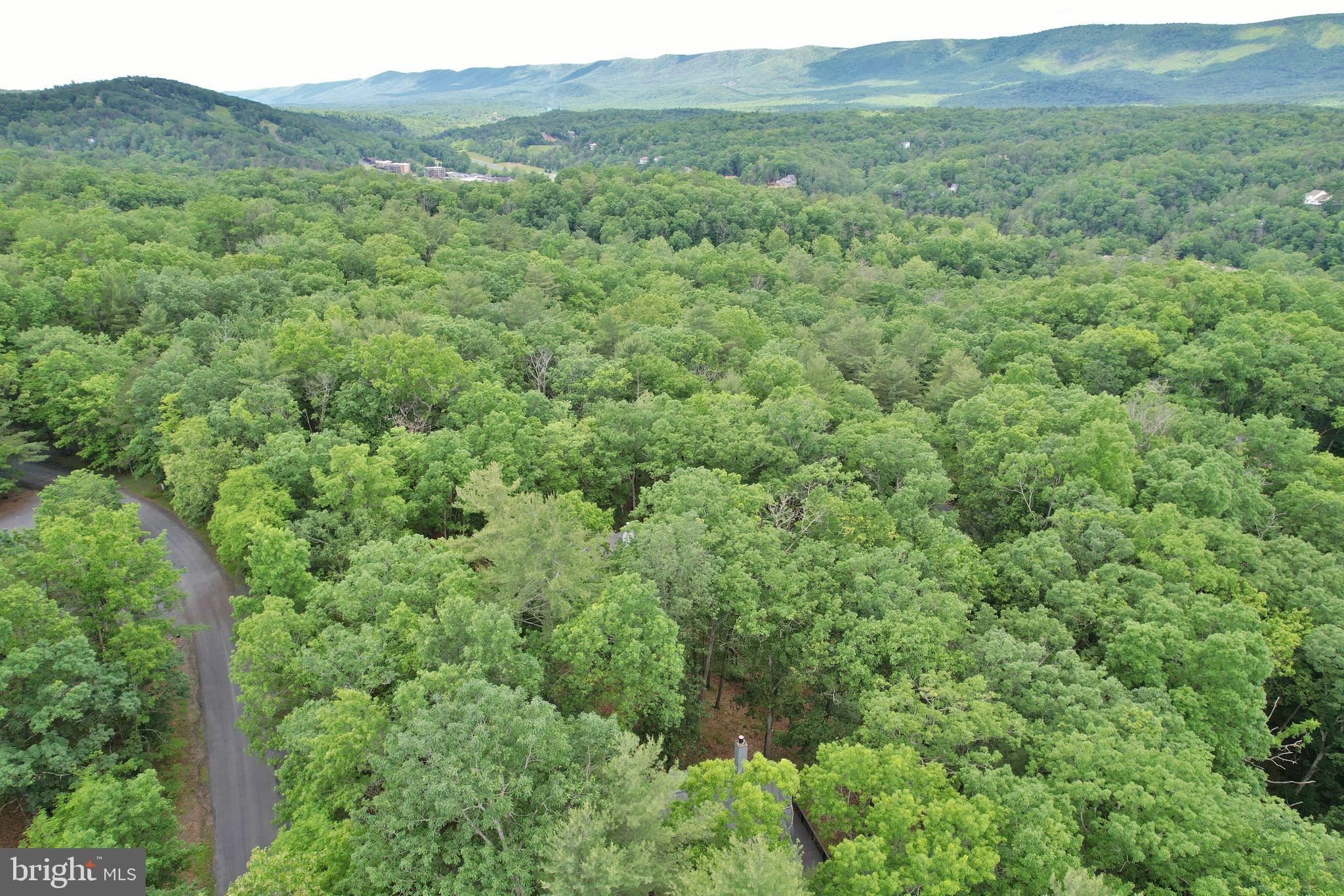 277 Anderson Road Basye, VA 22842 - Photo 43 of 57 Gallery Image 43