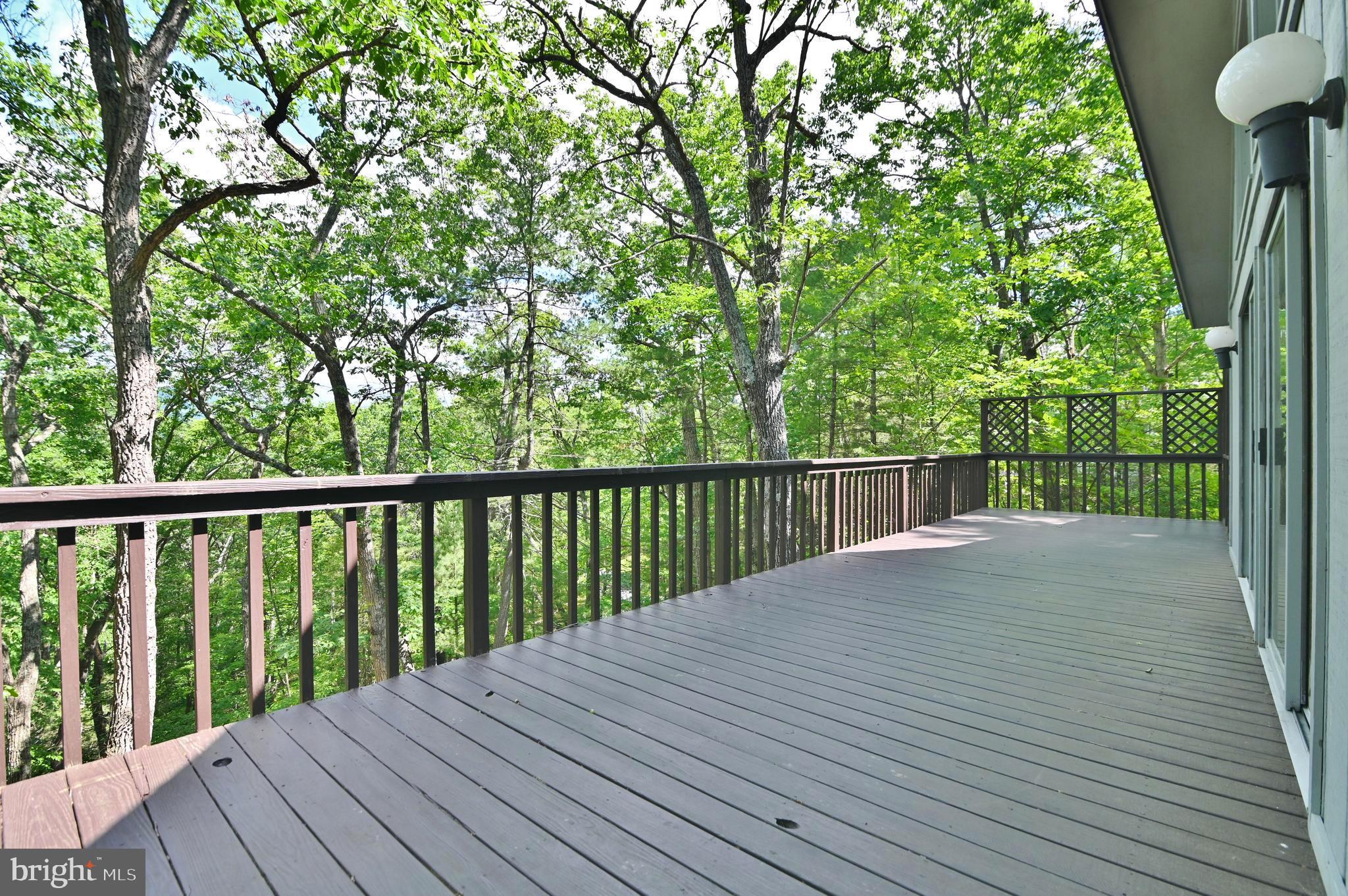 277 Anderson Road Basye, VA 22842 - Photo 7 of 57 Entertain on your deck
