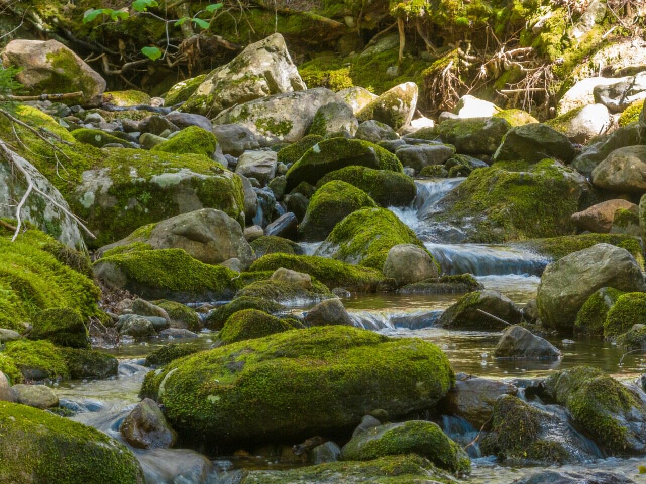 440 Belfast Road, Unit INIO C3 Camden, ME 04843 - Photo 8 of 15 Moss covered stones