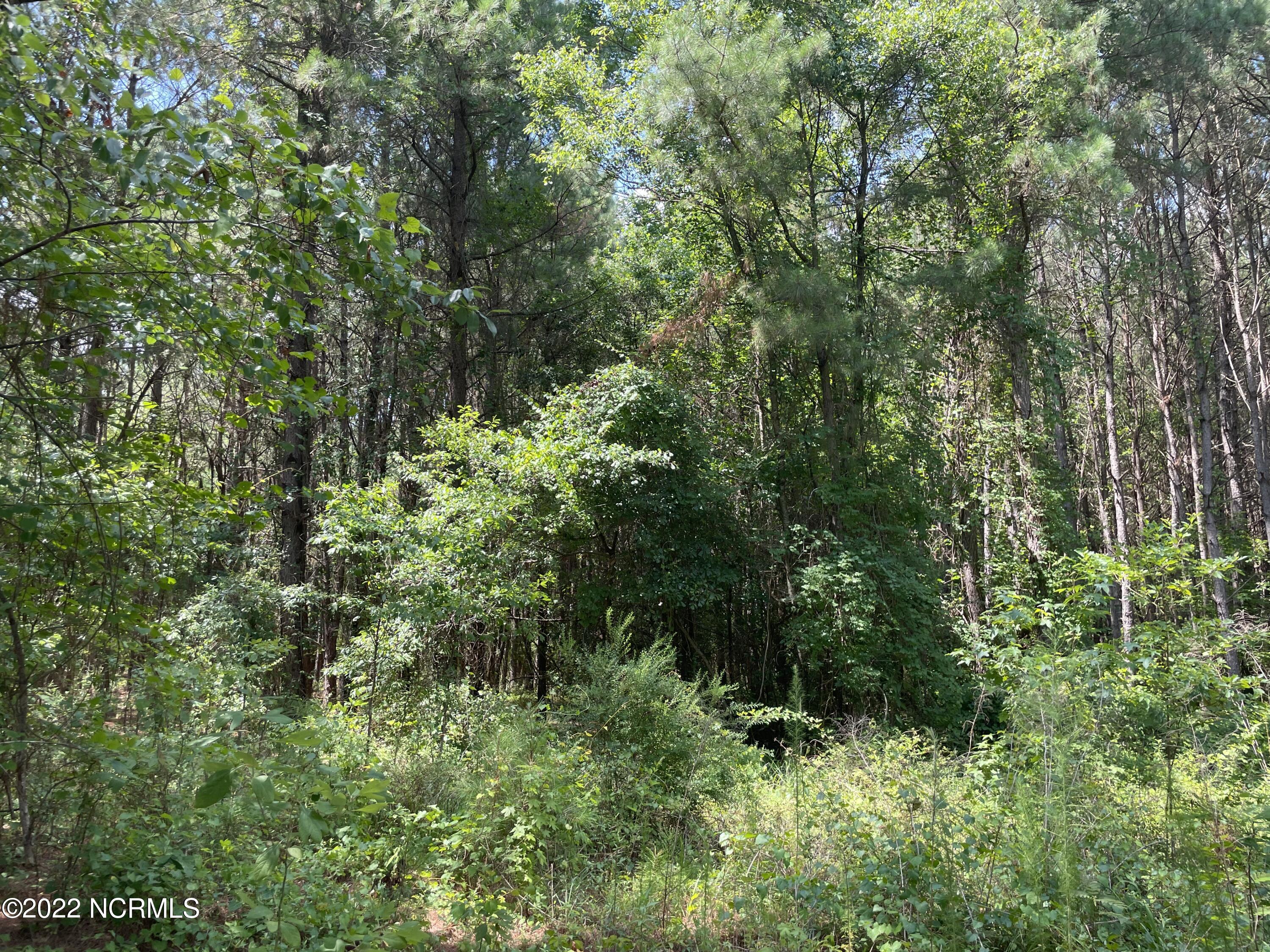 7106 Wire Grass Road Orrum, NC 28369 - Photo 11 of 28 IMG_4655