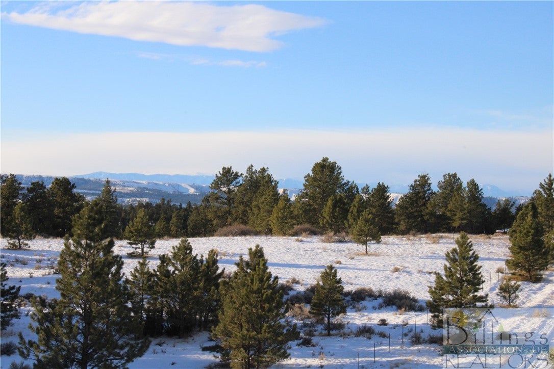 Lot 37 Pine Crest Road Columbus, MT 59019 - Photo 1 of 1 Gallery Image 1