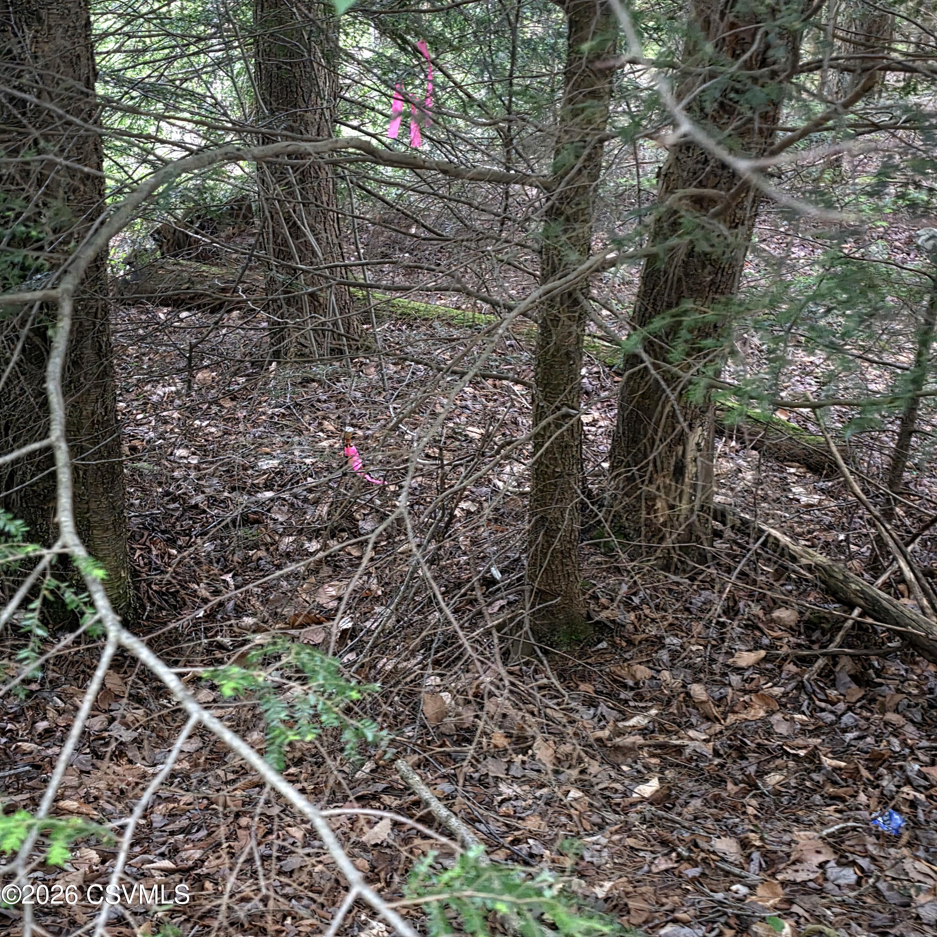 Lot 17 Lark Road Dushore, PA 18614 - Photo 3 of 4