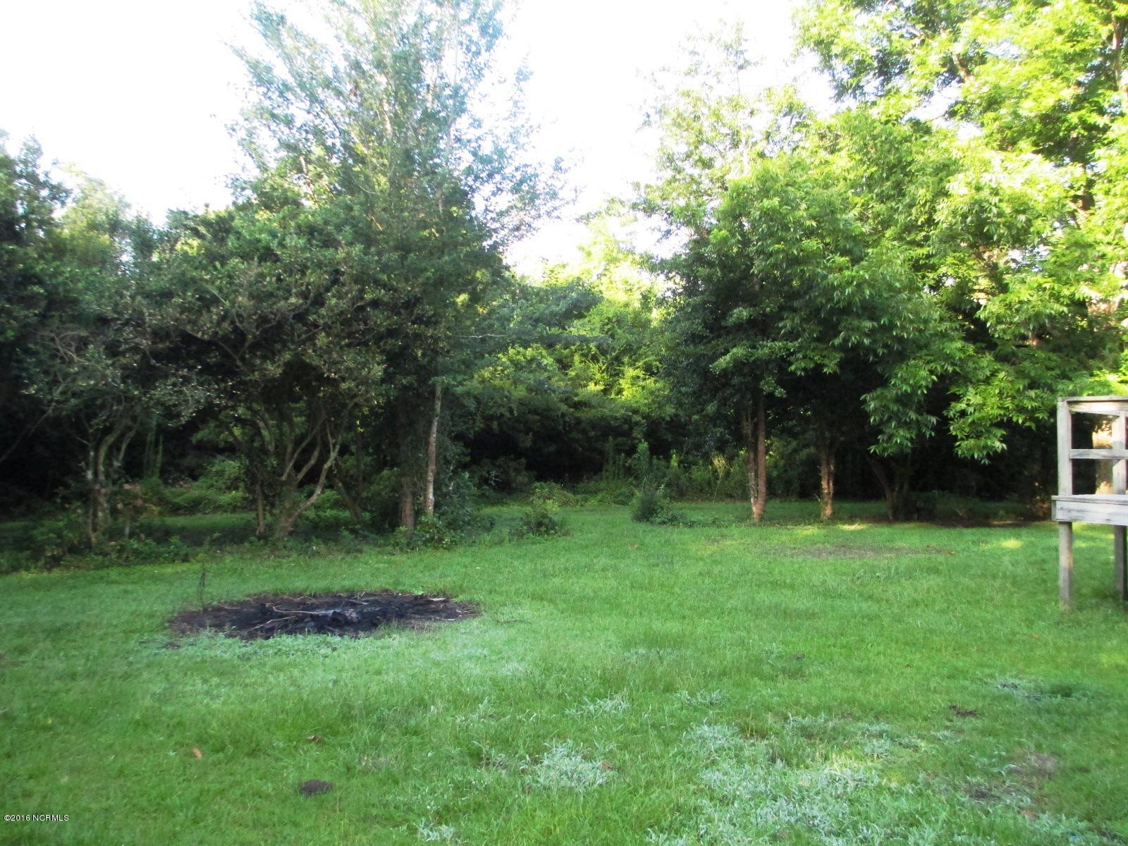 309 Sandy Point Road New Bern, NC 28560 - Photo 11 of 11 Private backyard