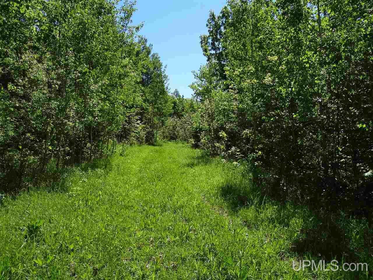 Tbd Juno Road Mass City, MI 49948 - Photo 20 of 29