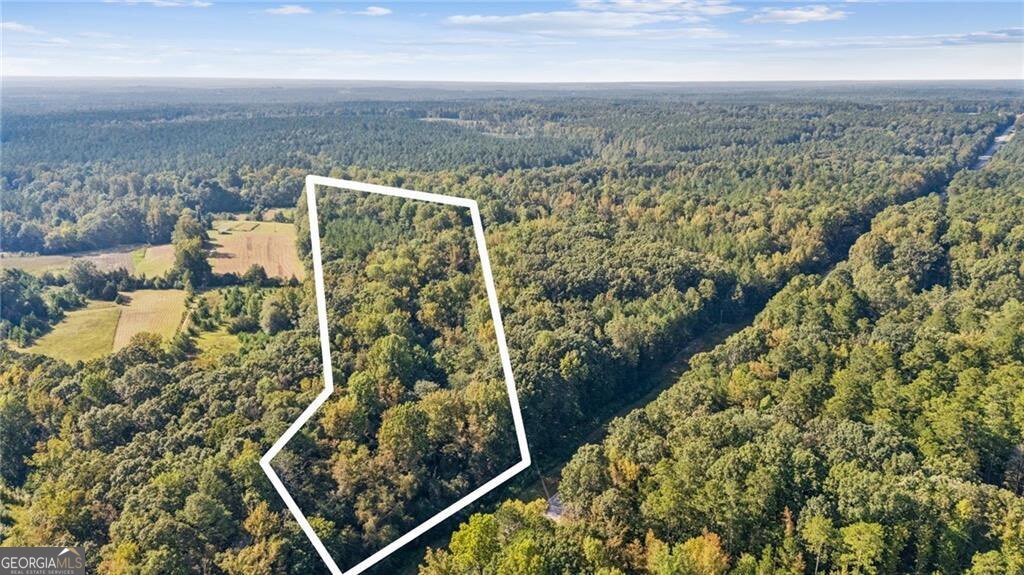 0 Elberton Road Carlton, GA 30627 - Photo 2 of 2 an aerial view of beach