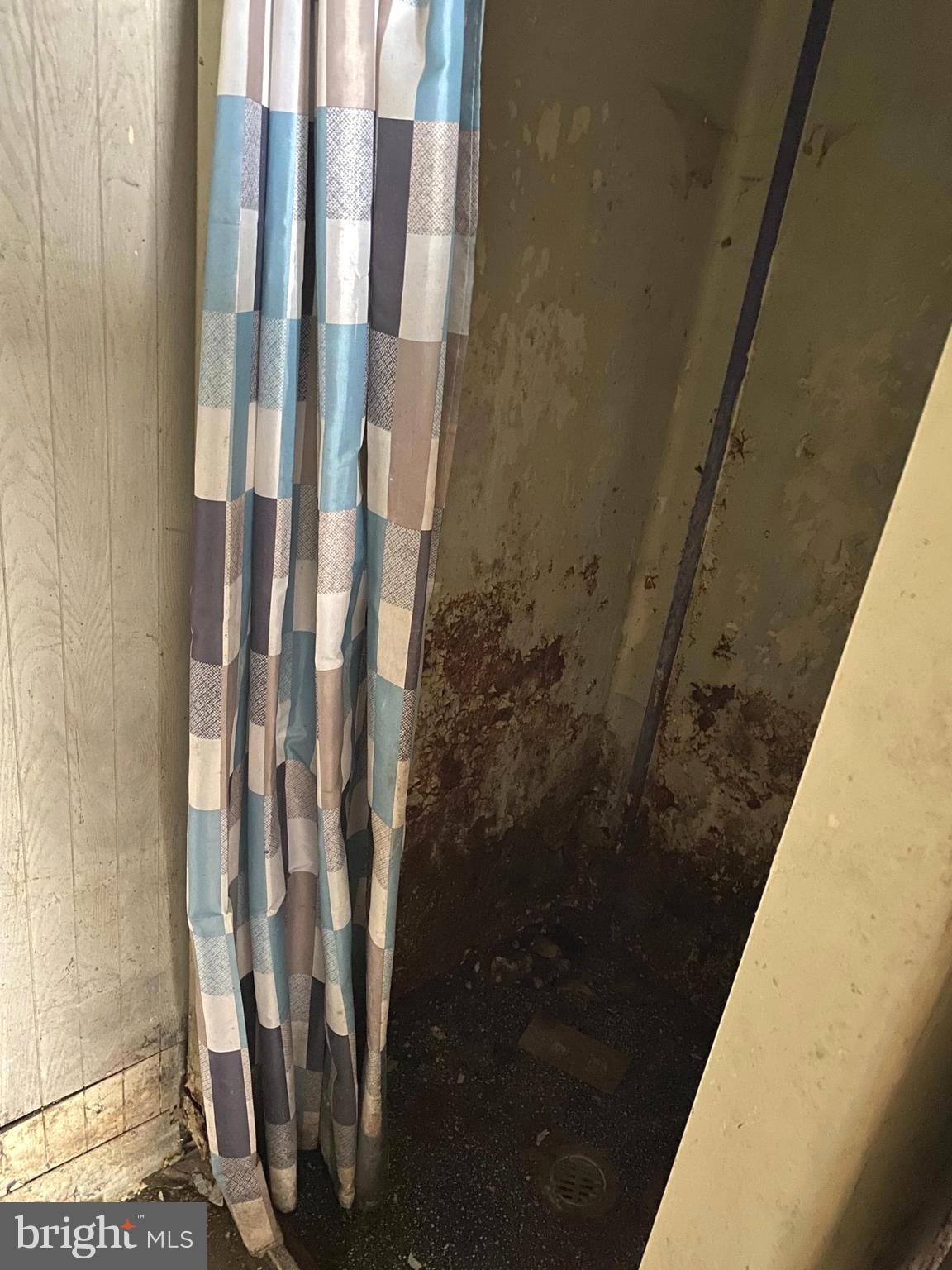8226 Beach Road Curtis Bay, MD 21226 - Photo 13 of 23 Main Level shower