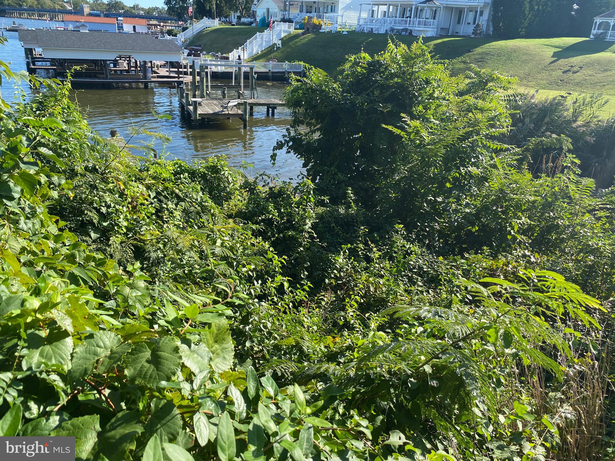 8226 Beach Road Curtis Bay, MD 21226 - Photo 20 of 23 Pier access currently inaccessible needs trimmed