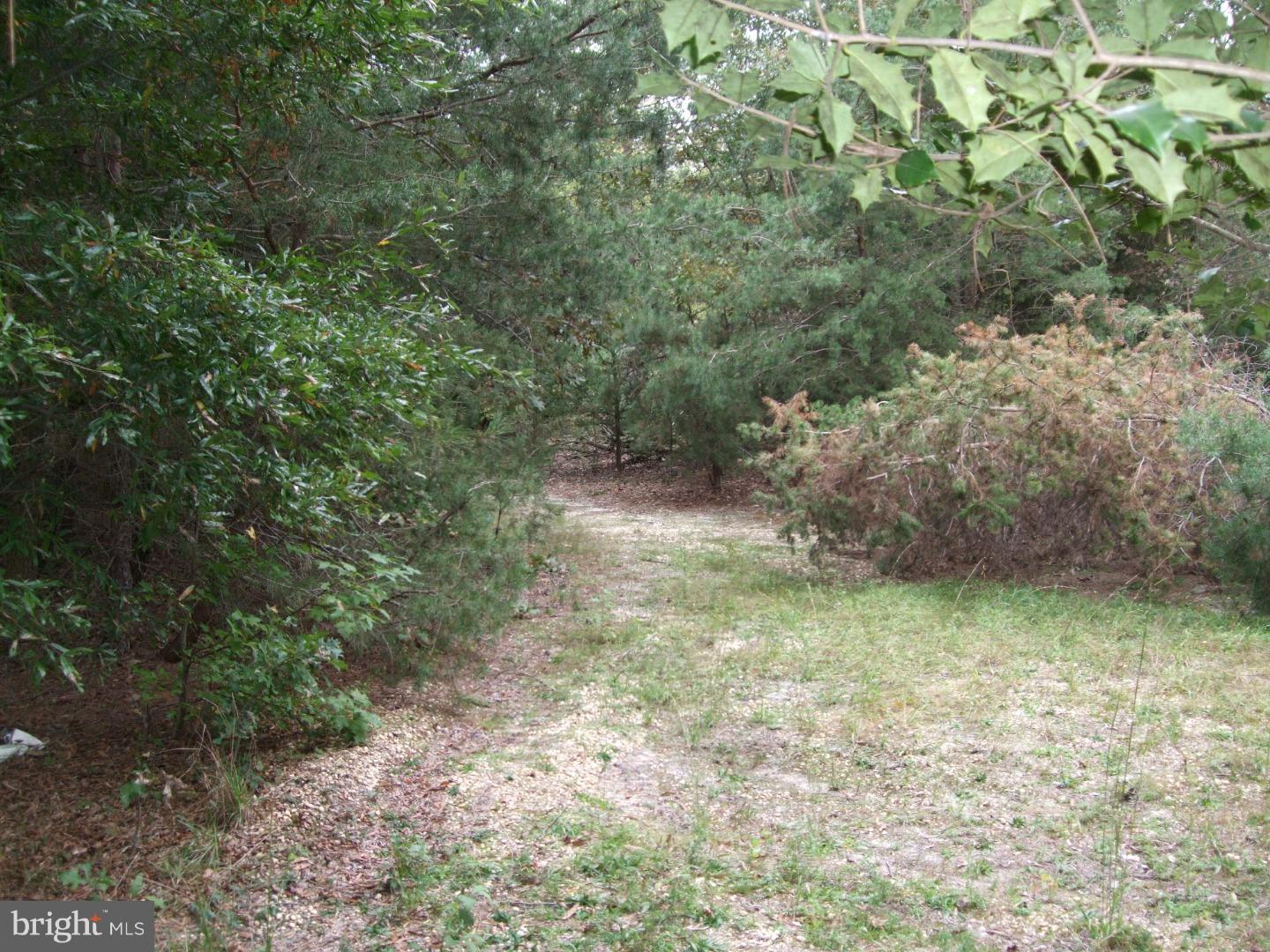 313 Magnolia Road Pemberton, NJ 08068 - Photo 3 of 3