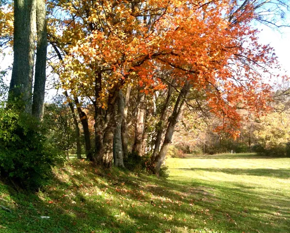 $799,900 | 318 Meadowglade Lane, Franklin, TN 37064