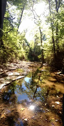 $799,900 | 318 Meadowglade Lane, Franklin, TN 37064