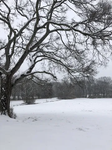 $799,900 | 318 Meadowglade Lane, Franklin, TN 37064