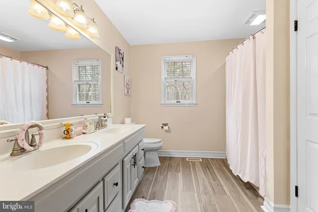 a bathroom with a sink a toilet and a mirror