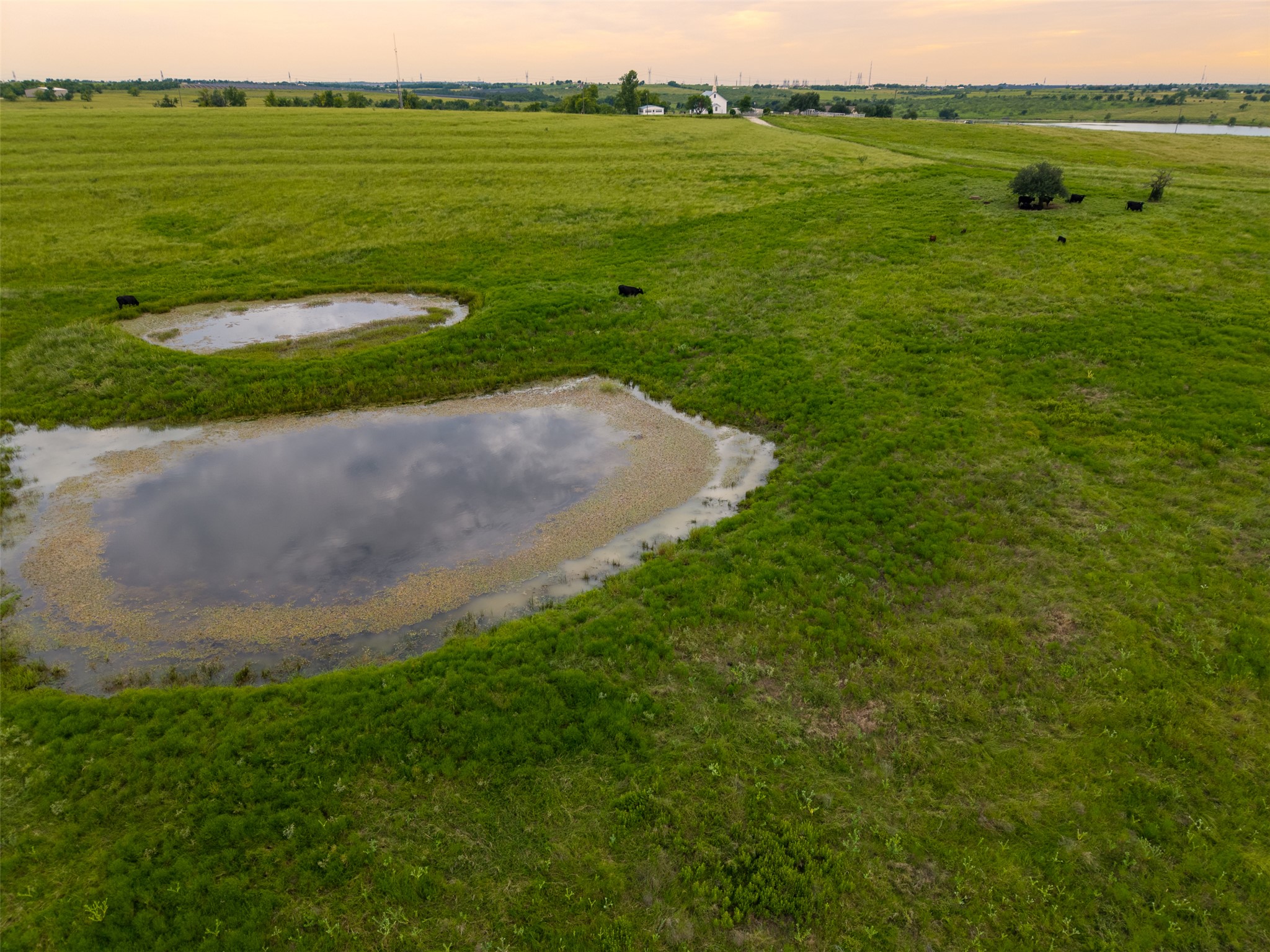 10966 Stringtown Road Temple, TX 76501 - Photo 13 of 24 a view of a lake with a big yard