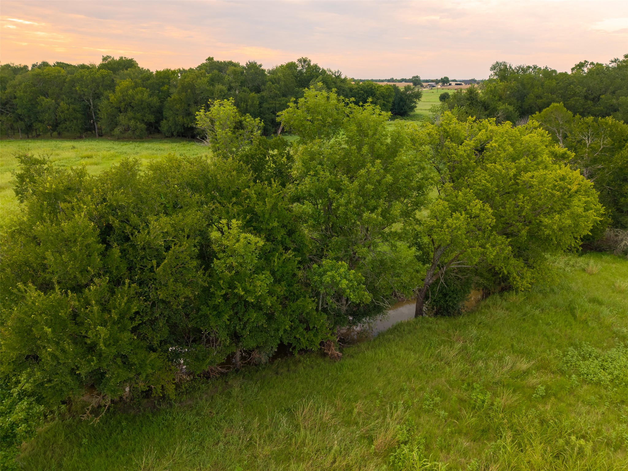 10966 Stringtown Road Temple, TX 76501 - Photo 14 of 24 a view of a lush green forest with trees and some houses