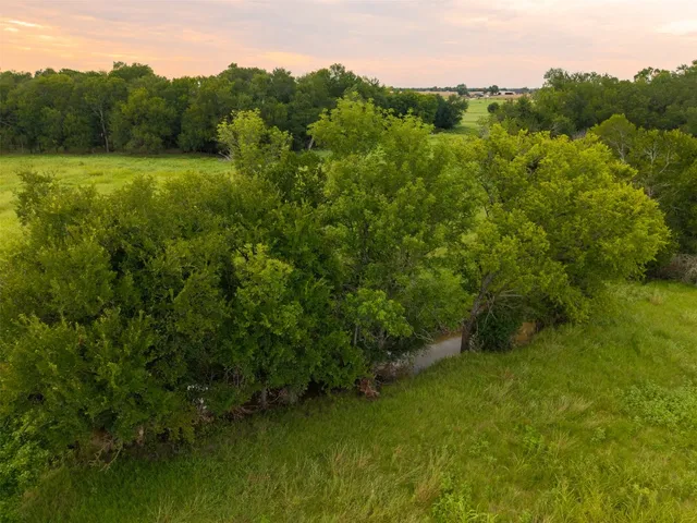 a view of a lush green forest with trees and some houses