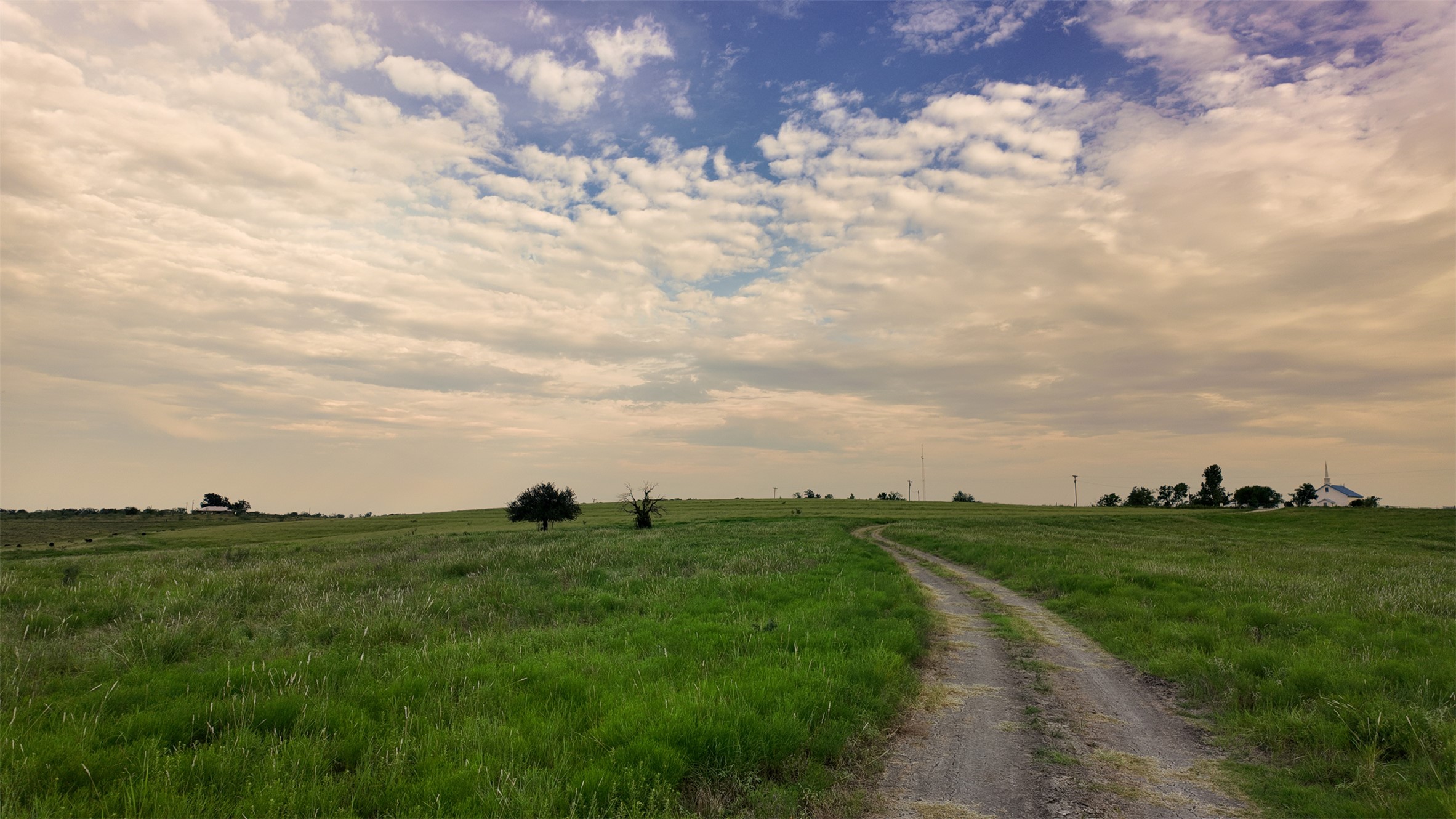 10966 Stringtown Road Temple, TX 76501 - Photo 15 of 24 a view of a field with a big yard