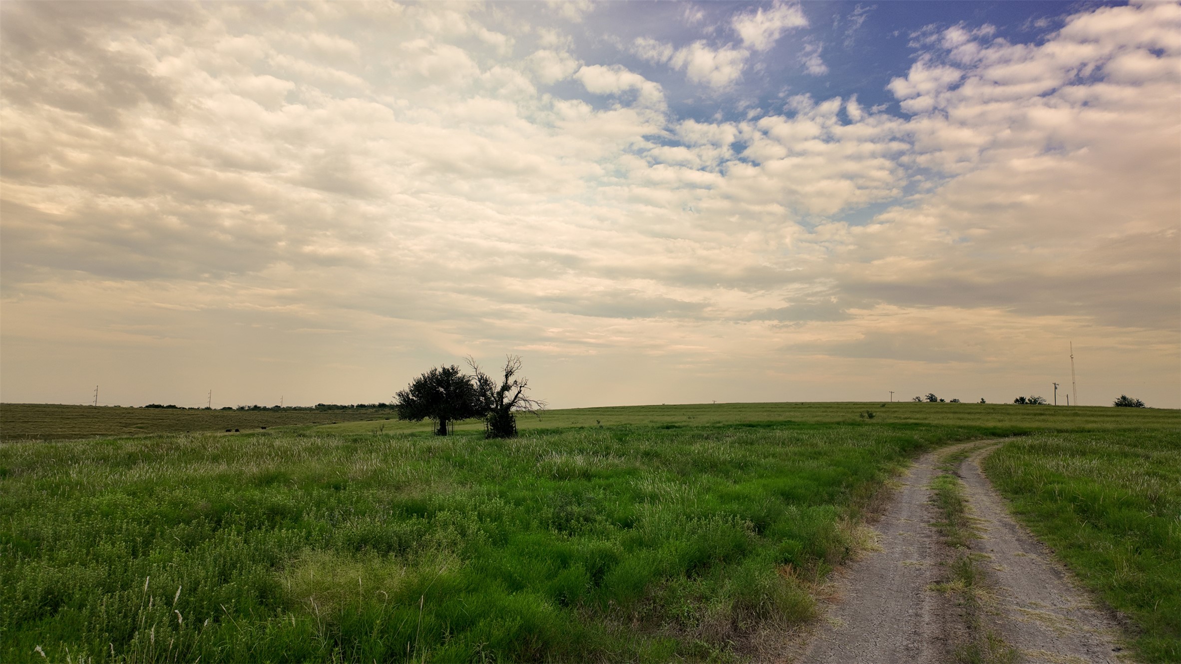 10966 Stringtown Road Temple, TX 76501 - Photo 16 of 24 a view of a lake with a big yard