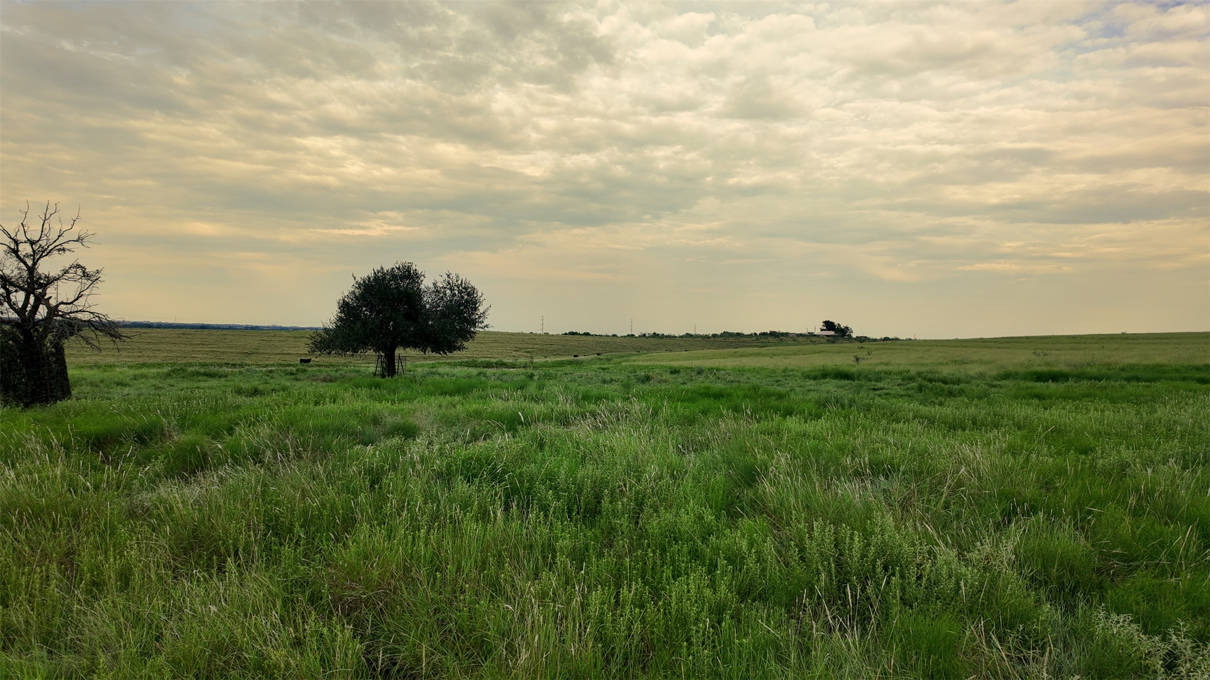 10966 Stringtown Road Temple, TX 76501 - Photo 17 of 24 a view of a grassy field